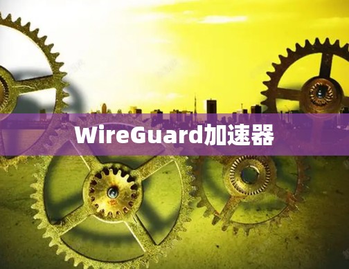 WireGuard加速器