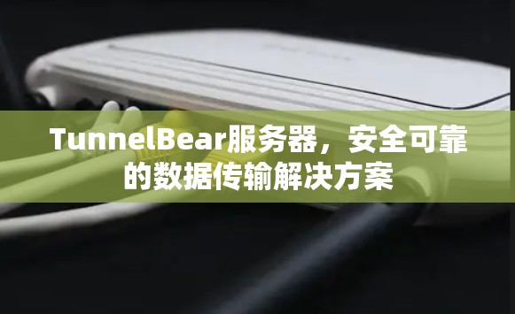 TunnelBear服务器，安全可靠的数据传输解决方案