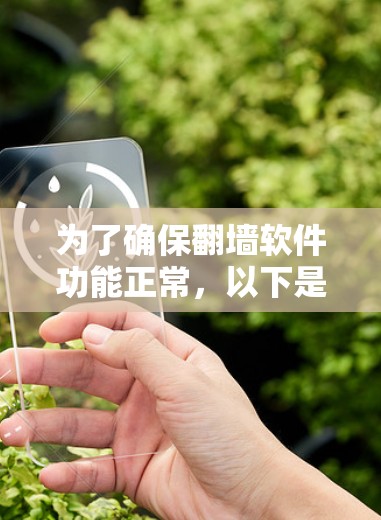 为了确保翻墙软件功能正常,以下是一步步的解决方案 为了确保翻墙软件功能正常,以下是一步步的解决方案