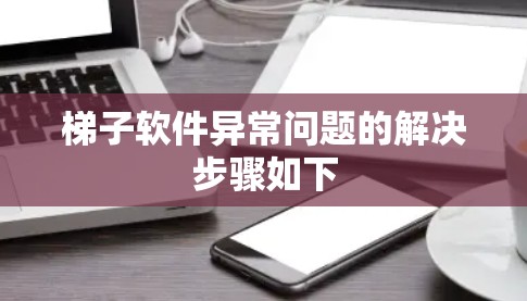 梯子软件异常问题的解决步骤如下