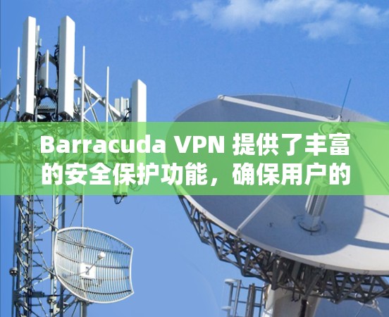 Barracuda VPN 提供了丰富的安全保护功能，确保用户的网络环境安全可靠。以下是主要的安全保护功能介绍