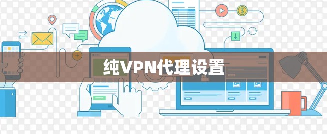 纯VPN代理设置