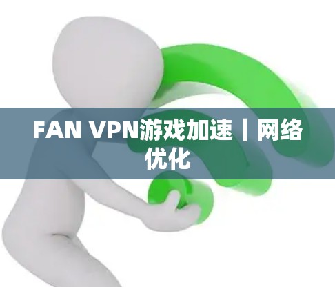 FAN VPN游戏加速｜网络优化