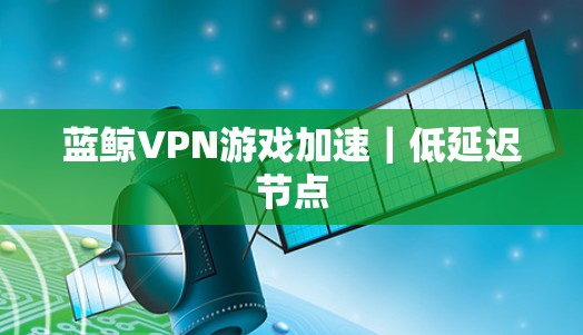 蓝鲸VPN游戏加速｜低延迟节点