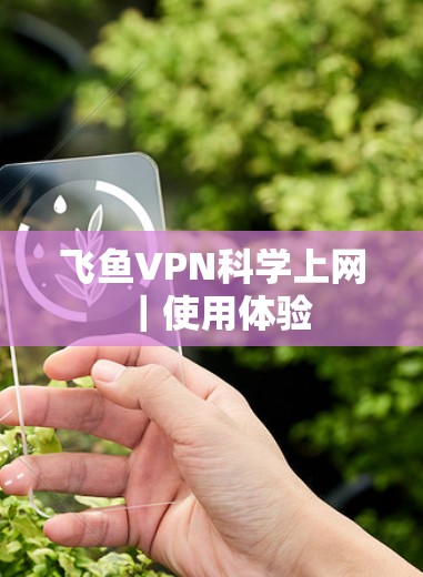 飞鱼VPN科学上网|使用体验 飞鱼VPN科学上网|使用体验