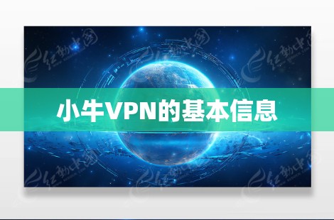 小牛VPN的基本信息