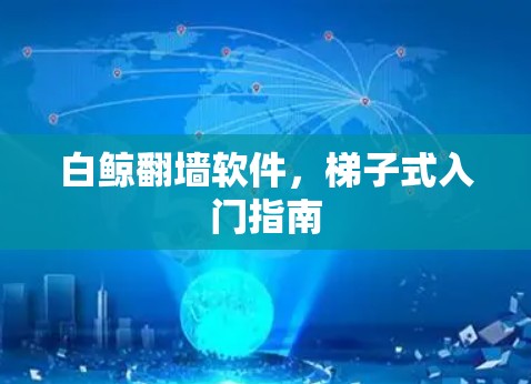 白鲸翻墙软件,梯子式入门指南 白鲸翻墙软件,梯子式入门指南