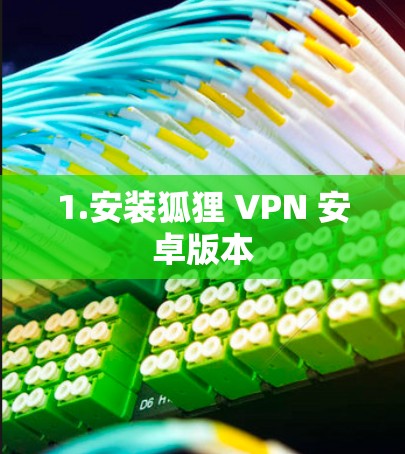 1.安装狐狸 VPN 安卓版本 1.安装狐狸 VPN 安卓版本