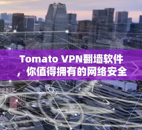 Tomato VPN翻墙软件，你值得拥有的网络安全工具