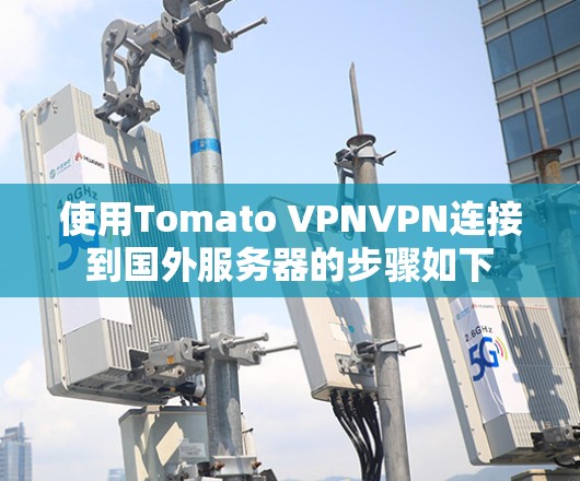 使用Tomato VPNVPN连接到国外服务器的步骤如下