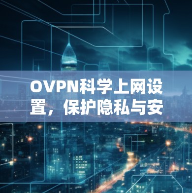 OVPN科学上网设置，保护隐私与安全的新选择