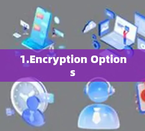 1.Encryption Options