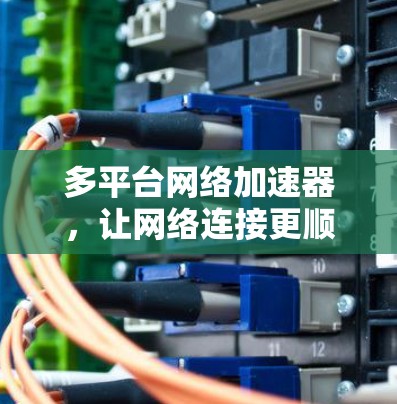 多平台网络加速器，让网络连接更顺畅，让生活更便捷！