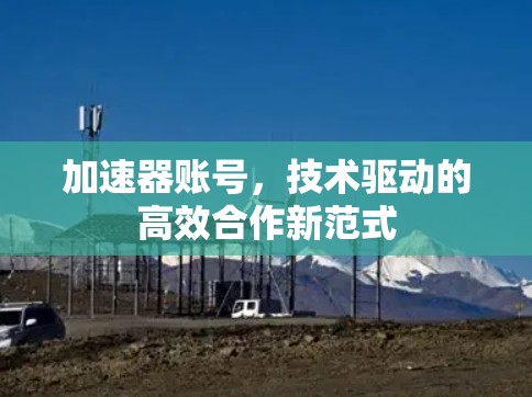 加速器账号，技术驱动的高效合作新范式