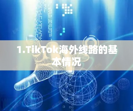 1.TikTok海外线路的基本情况 1.TikTok海外线路的基本情况