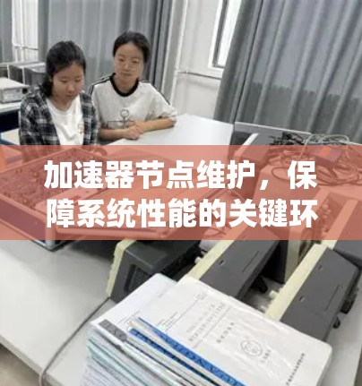 加速器节点维护,保障系统性能的关键环节 加速器节点维护,保障系统性能的关键环节