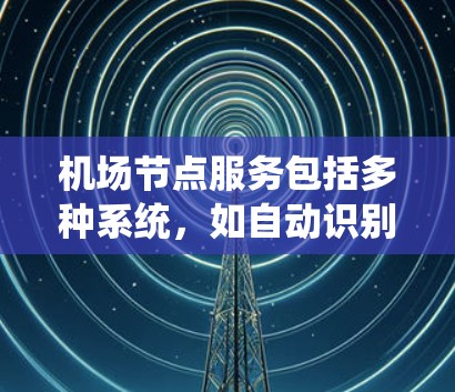 机场节点服务包括多种系统，如自动识别机、行李检查系统、登机信息查询等。以下是对这些系统和流程的详细描述