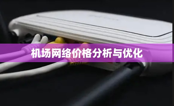 机场网络价格分析与优化 机场网络价格分析与优化