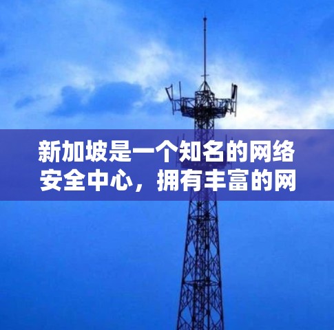 新加坡是一个知名的网络安全中心，拥有丰富的网络基础设施和先进的技术，因此成为VPN节点的首选之地。以下是一些关于新加坡作为VPN节点的详细介绍