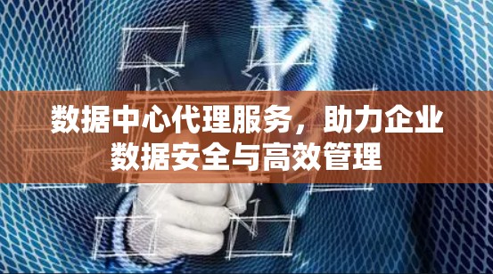 数据中心代理服务，助力企业数据安全与高效管理