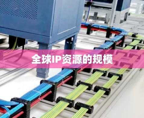 全球IP资源的规模