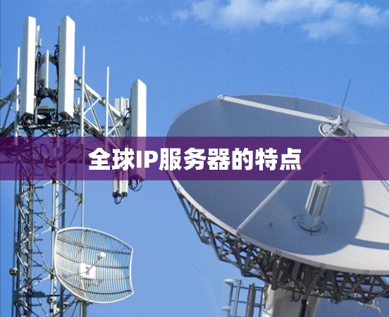 全球IP服务器的特点