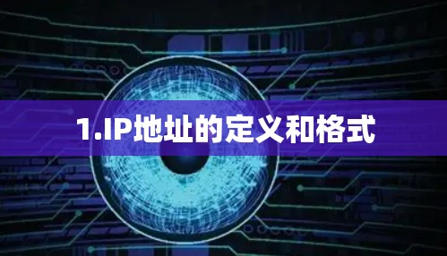 1.IP地址的定义和格式 1.IP地址的定义和格式