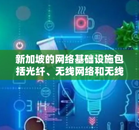 新加坡的网络基础设施包括光纤、无线网络和无线接入设备，这些都是连接互联网的主要方式。新加坡的网络环境通常使用协议如 HTTP、HTTPS、NetBIOS 等，这些都是新加坡本地计算机常用的协议