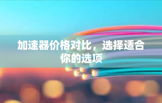 加速器价格对比，选择适合你的选项