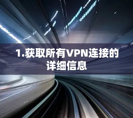 1.获取所有VPN连接的详细信息