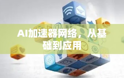 AI加速器网络，从基础到应用
