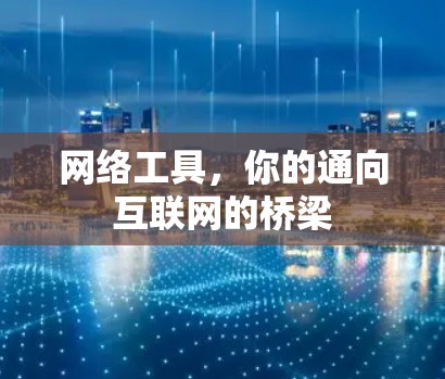 网络工具,你的通向互联网的桥梁 网络工具,你的通向互联网的桥梁