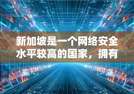 新加坡是一个网络安全水平较高的国家，拥有严格的网络安全法规和监控体系。在国际上，新加坡是多个国际组织和机构认可的安全网络，包括美国、加拿大、韩国、日本、澳大利亚等国