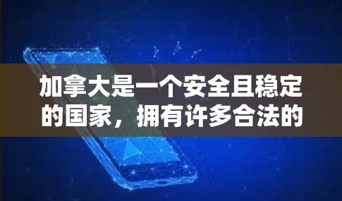 加拿大是一个安全且稳定的国家，拥有许多合法的VPN服务，这些服务通常提供了高质量的加密通信和安全的网络环境。以下是一些加拿大合法的VPN客户端和服务