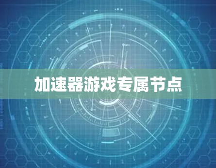 加速器游戏专属节点