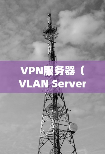 VPN服务器（VLAN Server）是支持虚拟局域网络（VPN）功能的服务器。它们通常用于在本地计算机与外部网络之间建立VPN连接。以下是VPN服务器的主要区别