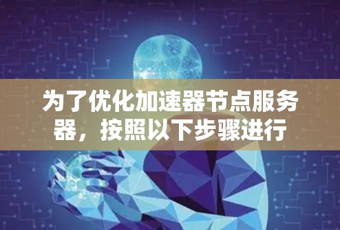 为了优化加速器节点服务器，按照以下步骤进行