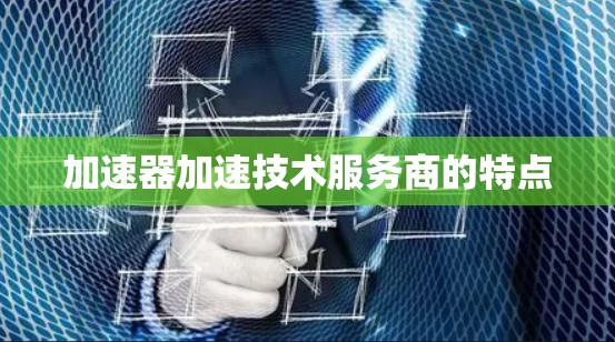 加速器加速技术服务商的特点 加速器加速技术服务商的特点