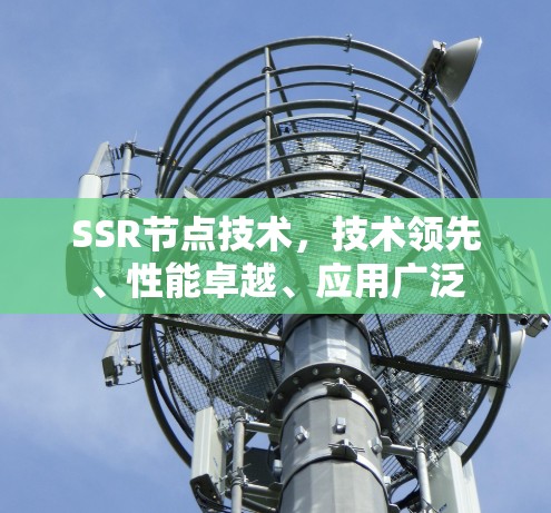 SSR节点技术，技术领先、性能卓越、应用广泛