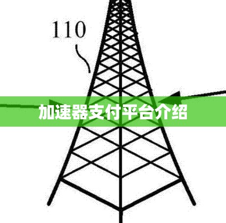 加速器支付平台介绍