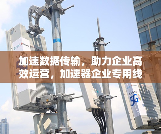 加速数据传输，助力企业高效运营，加速器企业专用线路的全方位解决方案