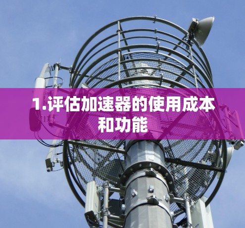 1.评估加速器的使用成本和功能 1.评估加速器的使用成本和功能