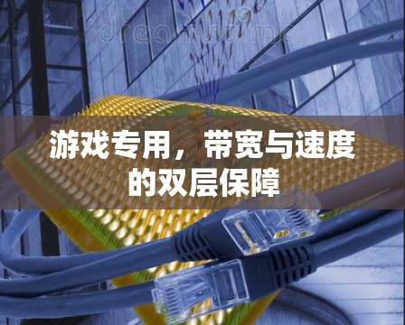 游戏专用，带宽与速度的双层保障