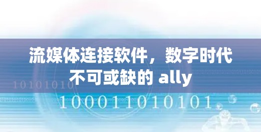 流媒体连接软件,数字时代不可或缺的 ally 流媒体连接软件,数字时代不可或缺的 ally