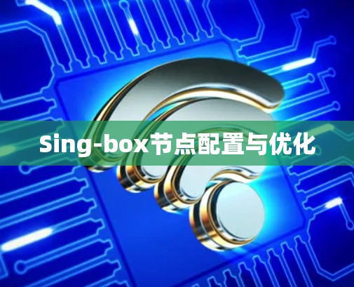 Sing-box节点配置与优化