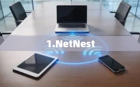1.NetNest