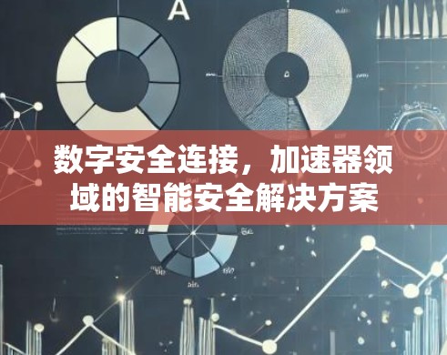 数字安全连接，加速器领域的智能安全解决方案
